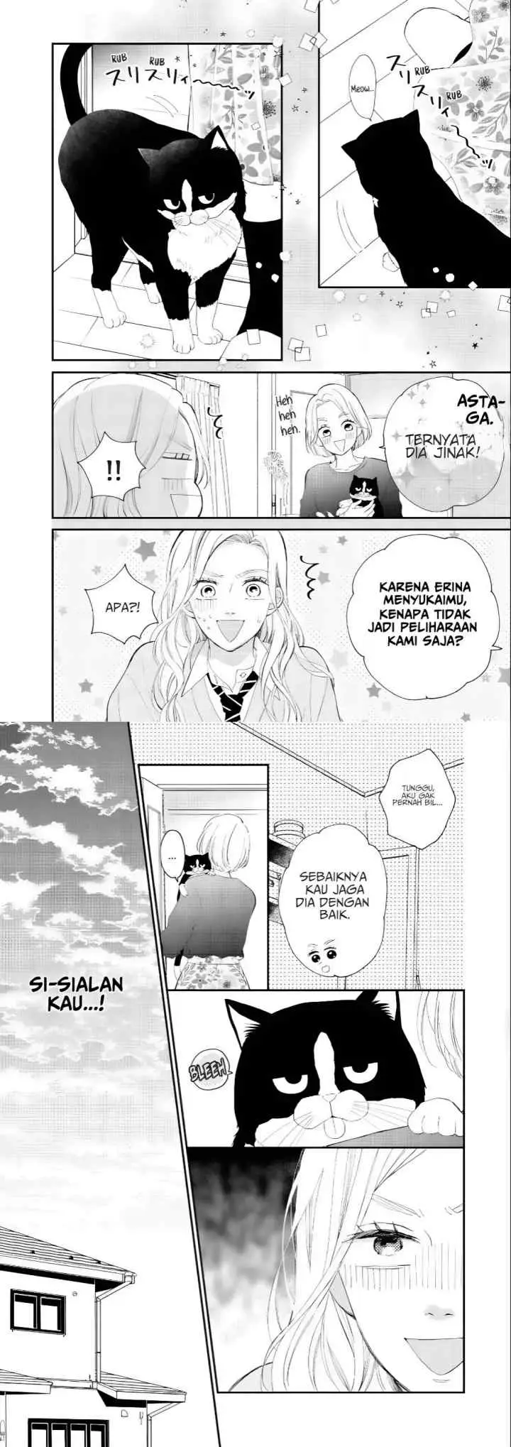 Neko to Kiss chapter 3 halaman 4